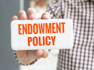 What is an Endowment