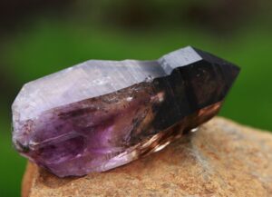 Precious stone Grove