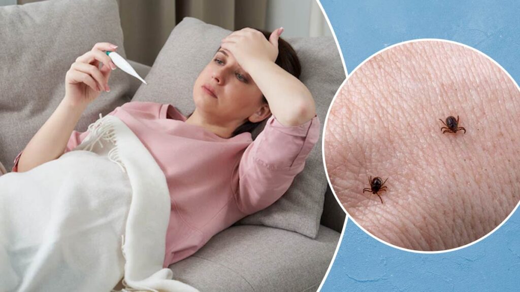 Scrub Typhus